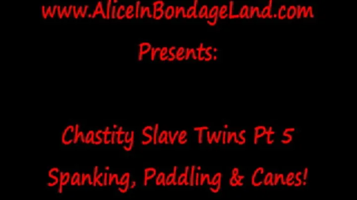 Canes Paddling Spanking Pt 5 Maitresse Renee's Double Rubber Chastity Boys