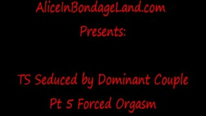 Orgasms Handjob Pt 5 TS Seduced Bisexual Couple