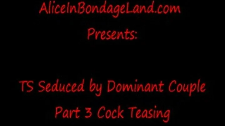 Cock Teasing Shemale Pt 3 TS Seduced Bisexual Couple