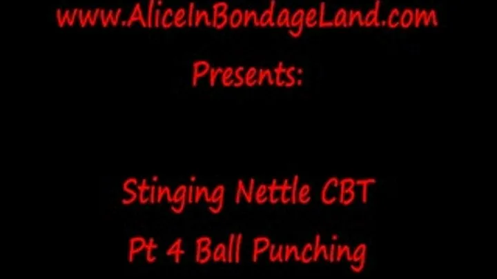 Ball Punching Pt 4 Stinging Nettles FemDom Threesome EXTREME