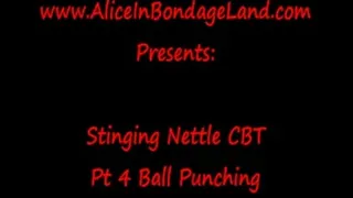 Ball Punching Pt 4 Stinging Nettles FemDom Threesome EXTREME