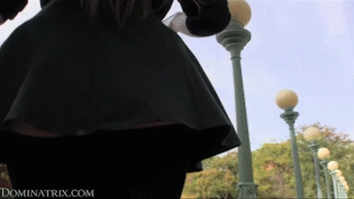 Walk in the Park Upskirt POV