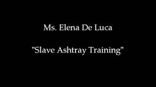 Slave Ashtray Training