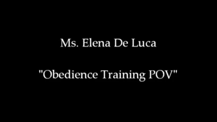 Obedience Training POV