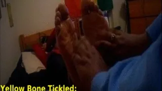 Yellow Bone Tickled - Ticklish Soles