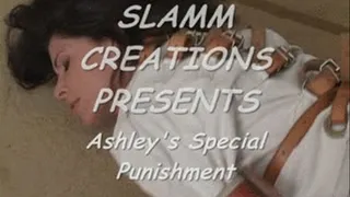 Ashley Renee - Ashley's Special Punishment