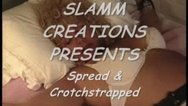 Shelly - Spread & Crotchstrapped