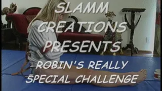 Robin - Robin's Really Special Challenge, Part 1