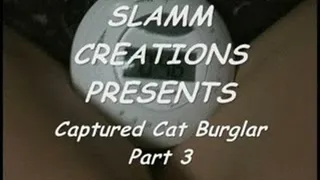 Tori Sinclair - Captured Cat Burglar, Part 3