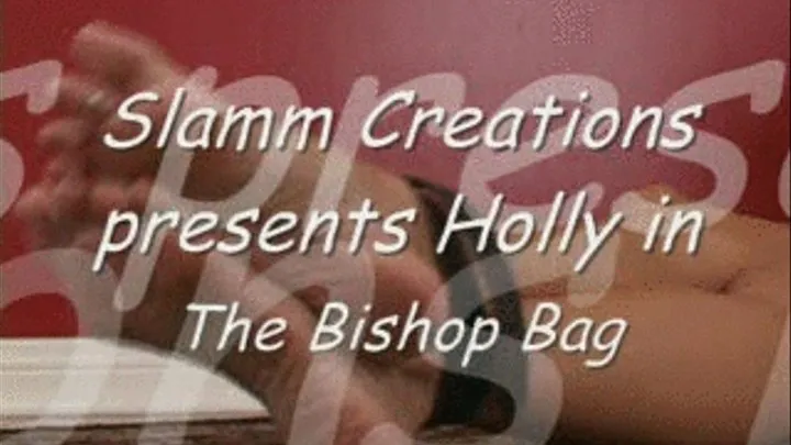 Hollywould - The Bishop Bag