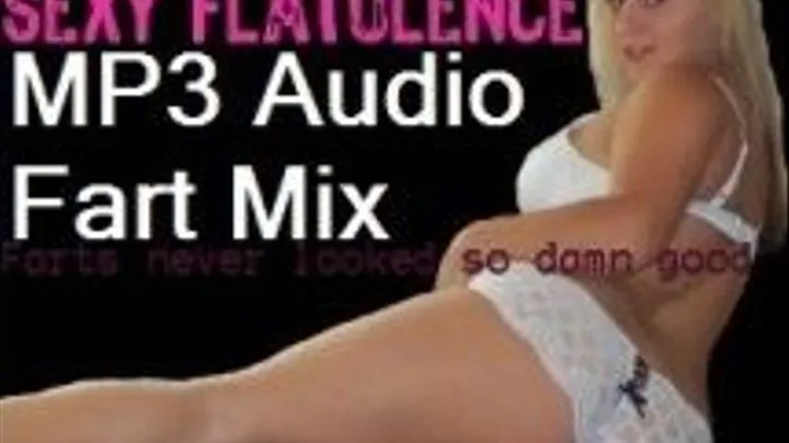 Sexy Flatulence Audio Mix