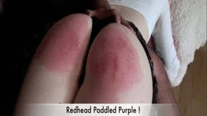 Beautiful Redhead Paddled Purple