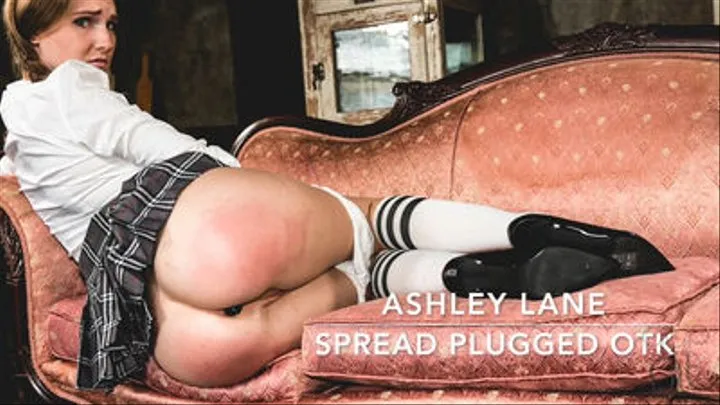 Ashley Lane Spread and Plugged OTK- Harder at Home 4