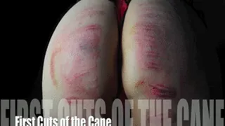 First Timer feels the Cut of the Cane- Welted and Screaming in High Def