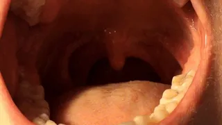 very close up trip inside my mouth