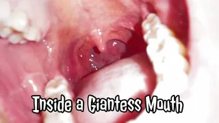 Inside a Giantess Mouth
