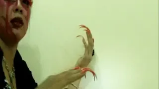 Orange Crack Claws to Scratch the wall