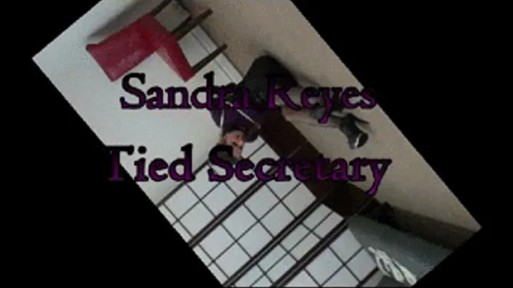 Sandra...Tied Secretary!