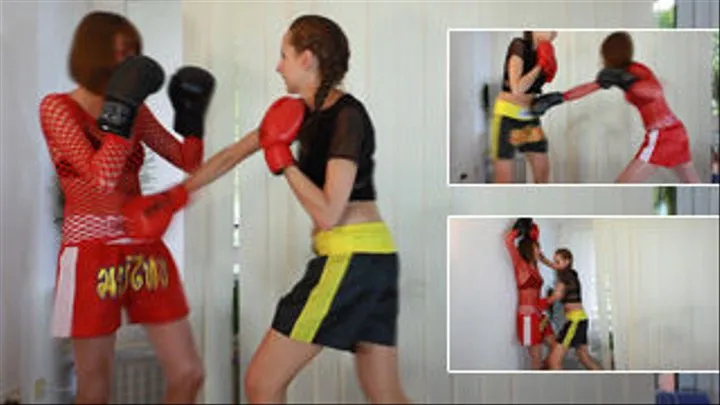 Two Friends Boxing