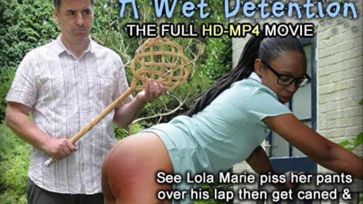 Wet Detention Movie