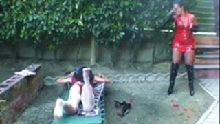 "Tanning" To The Sound Of Her Whip In The Garden (4° part - )