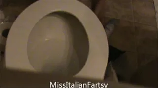 Ass View Toilet Compilation