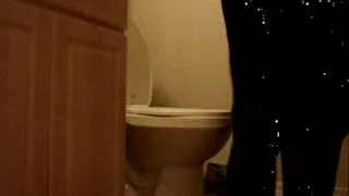 Toilet Clip 2