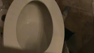 See Everything Rear View Toilet Clip
