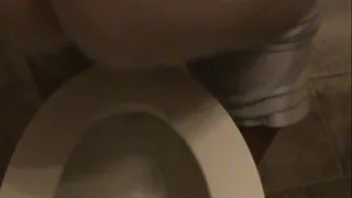 Toilet Farts Rear View