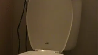 PM Toilet Session