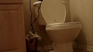 Bathroom Clip