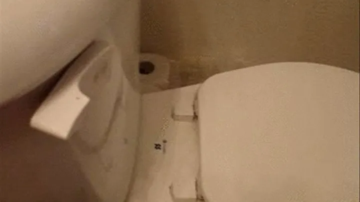 Another Up Close Toilet Explosion