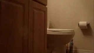 Toilet Clip