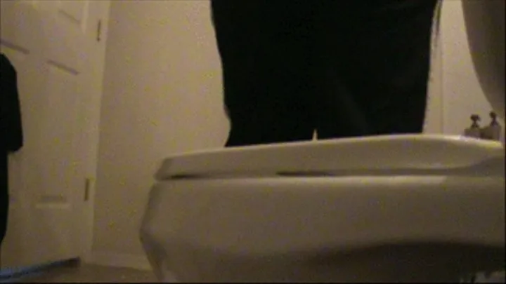 NEW Rear View Toilet Compilation