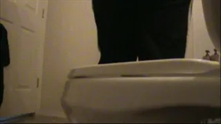 NEW Rear View Toilet Compilation