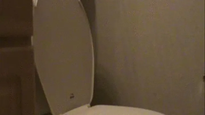 Side View Toilet Clip