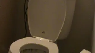New Toilet Video