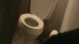 Candid Toilet Visit