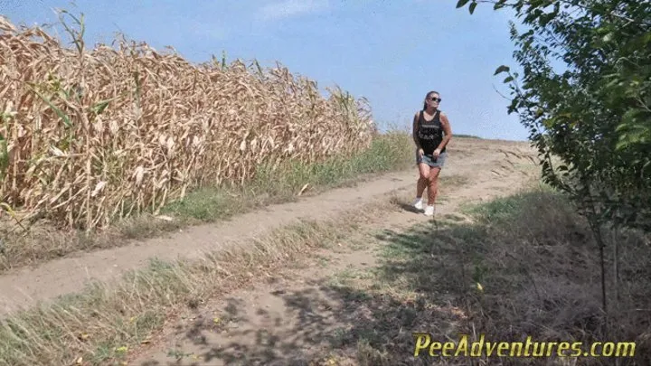 Pee standing on the ground on the road between the fields