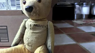 A BEAR CALLED ANDREW