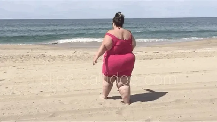 Beached Whale