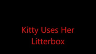 Kitty Uses Her Litterbox