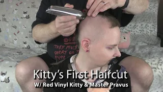 Kitty's First Haircut