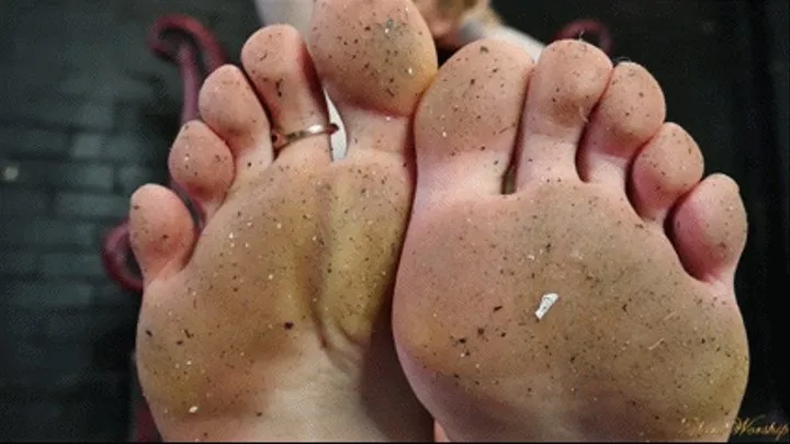 Shut Up and Worship (Danielle Maye - Foot Fetish)