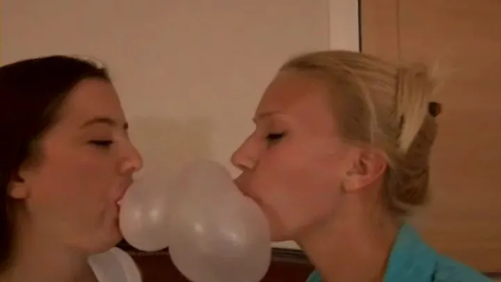 Bubble Gum CatBall CatFight 2 1 of 6