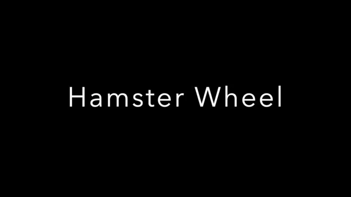 The Hamster Wheel