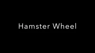 The Hamster Wheel