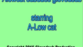 Alowcat subdues glovedsub