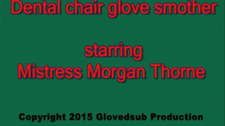 Dental chair glove handgag