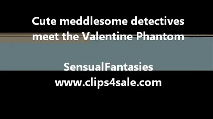 Meddlesome detectives meet the Valetine Phantom